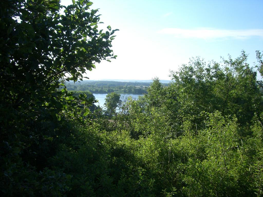 Wroblewsky